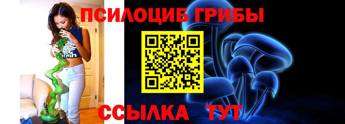Галлюциногенные грибы Psilocybe  Галлюциногенные грибы Cubensis  Нижнеудинск  Вход с VPN 